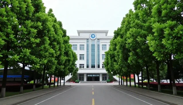 媒介投放效果受内容精准度影响的原因分析